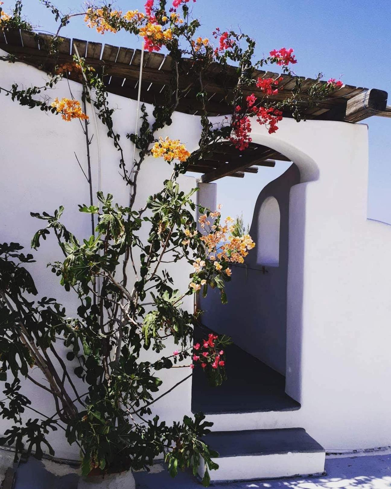 Iliovasilema Studios Koufonisi Koufonisia Exterior photo